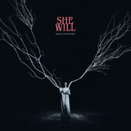 Обложка к диску с музыкой из фильма «Она будет»