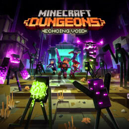 Обложка к диску с музыкой из игры «Minecraft Dungeons: Echoing Void»