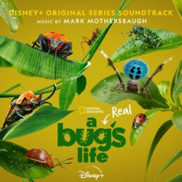 Обложка к диску с музыкой из сериала «Настоящая жизнь жука (1 сезон)»